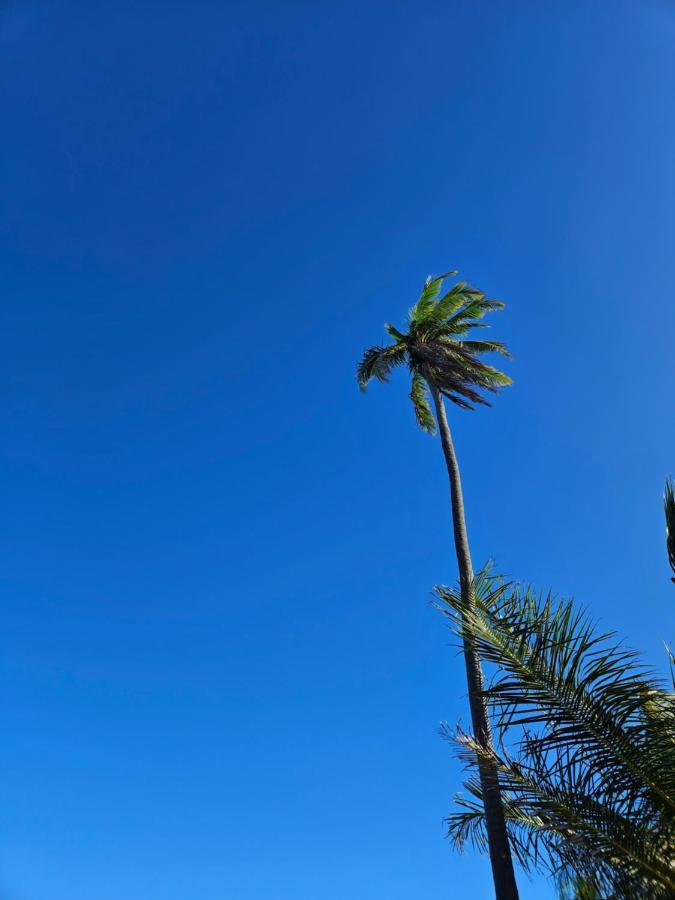 Al Mar Suites Praia do Forte Buitenkant foto